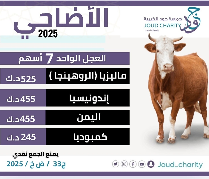 صورة مشروع الأضاحي 